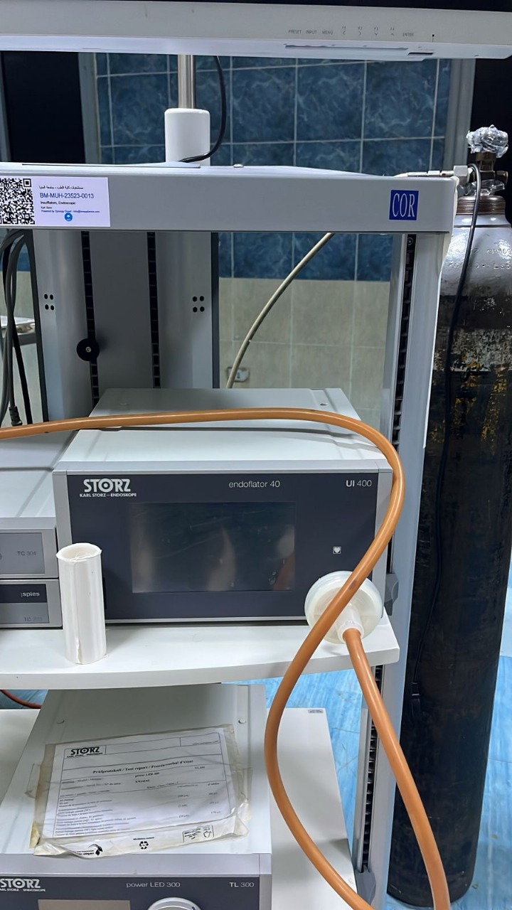 Image processor  endoscope